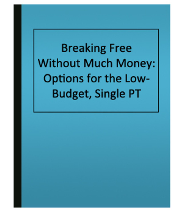 Options for Low-Budget, Single PT