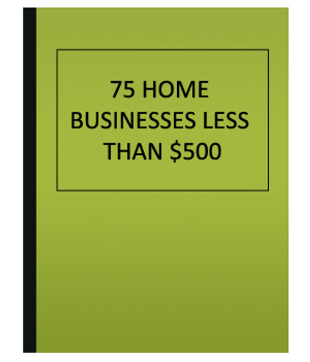 75 Home Businesses under $500