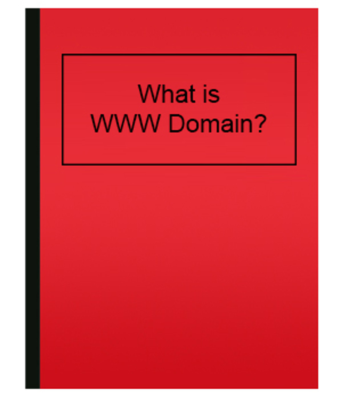 What is WWW Domain?